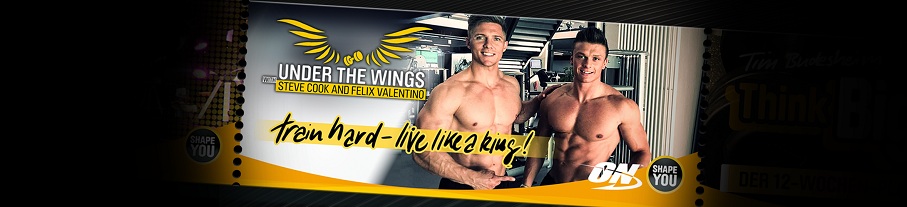 Under The Wings with Steve Cook and Felix Valentino