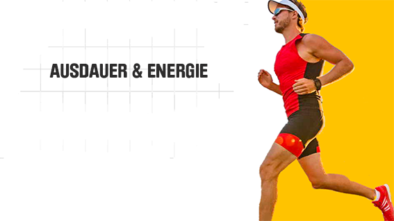 ShapeYOU Sportlernahrung, Trainingspläne, Ernährungstipps und mehr