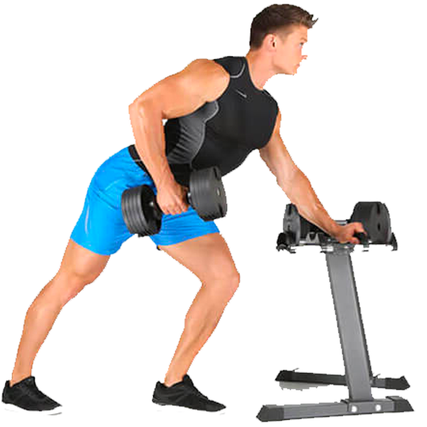 ShapeYOU Sportlernahrung, Trainingspläne, Ernährungstipps und mehr