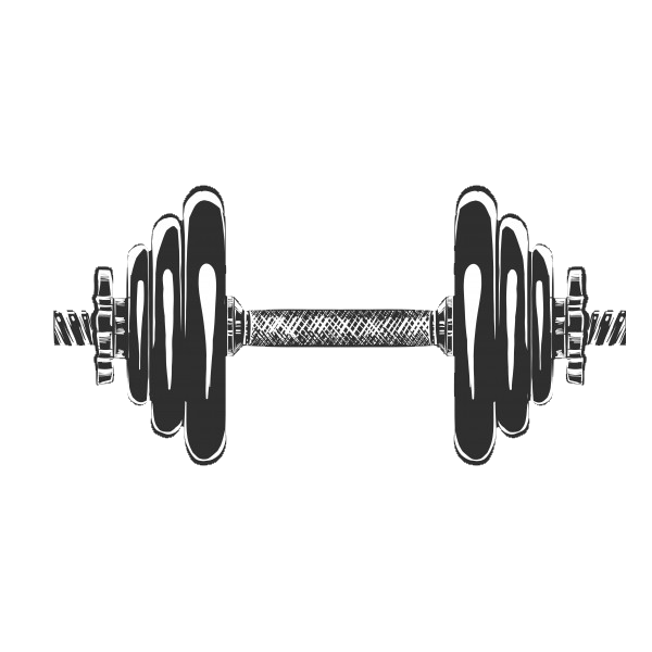 ShapeYOU Sportlernahrung, Trainingspläne, Ernährungstipps und mehr