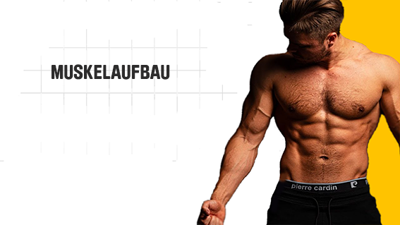 ShapeYOU Sportlernahrung, Trainingspläne, Ernährungstipps und mehr