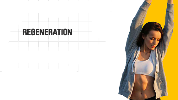 ShapeYOU Sportlernahrung, Trainingspläne, Ernährungstipps und mehr