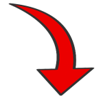 ShapeYOU Sportlernahrung, Trainingspläne, Ernährungstipps und mehr